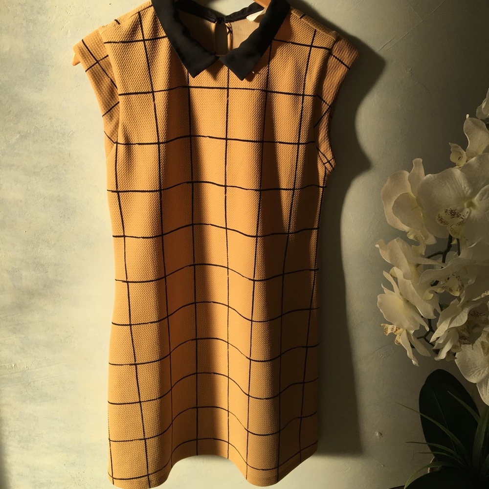 ✨PRICE DROPPED Lush's Modern Inspired Mod Dress ✨